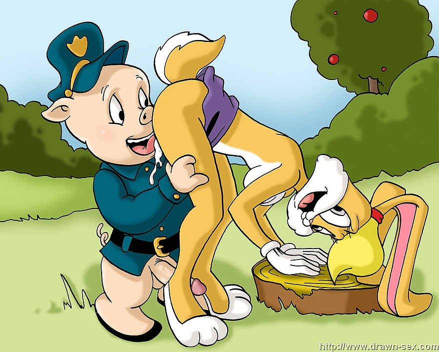 Cartoon Pussy Looney Tunes - Looney tunes porn-excellent porno