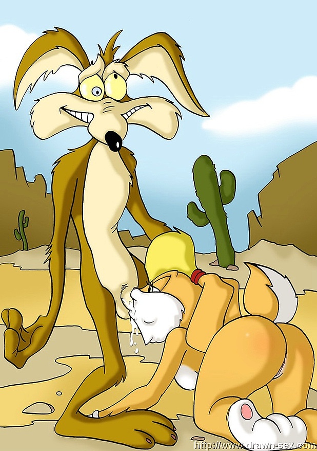 Looney Tunes porn cartoons. 